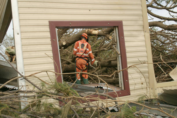 Best Root Management and Removal  in Okeechobee, FL